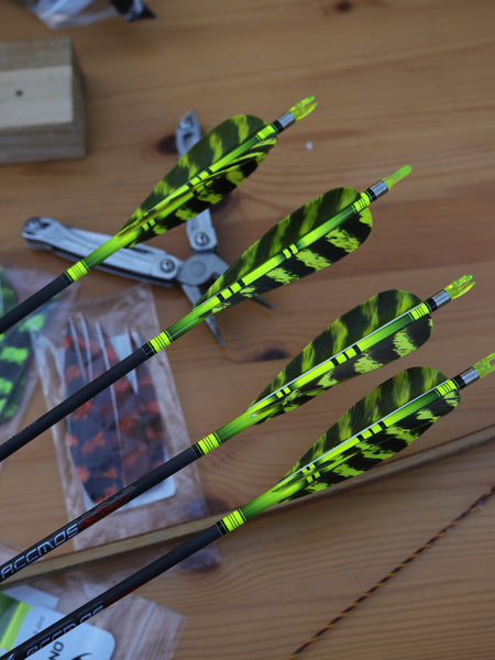 4" Parabolic Cut Primary Feathers