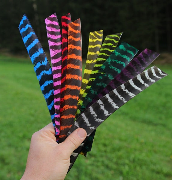 Premium Full Length Primary Feathers