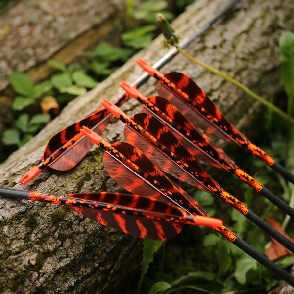 4" Parabolic Cut Primary Feathers