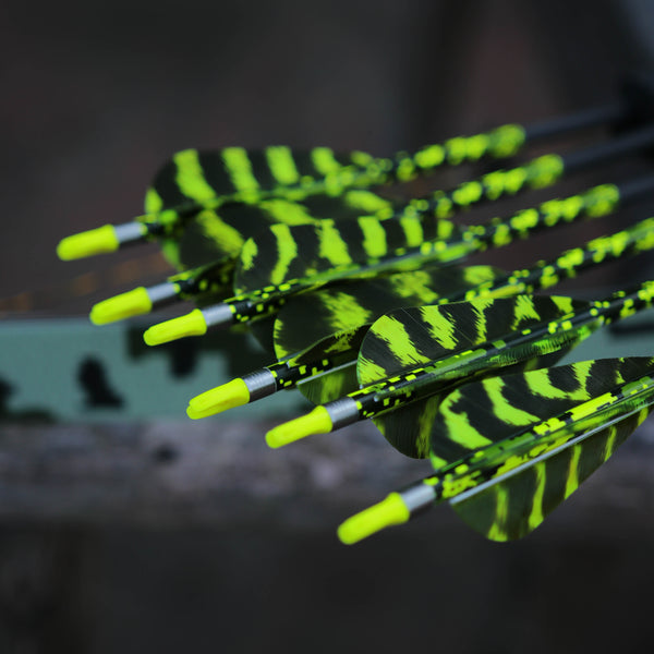 3" Parabolic Cut Primary Feathers