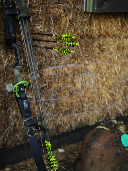 3" Parabolic Cut Primary Feathers
