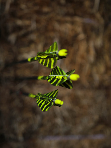 3" Parabolic Cut Primary Feathers