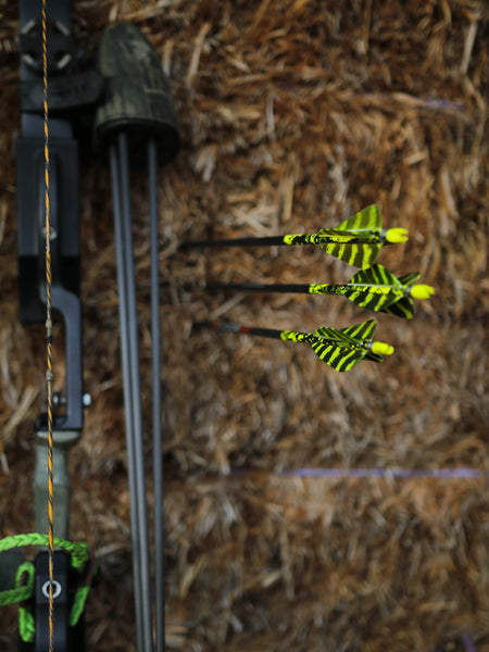 3" Parabolic Cut Primary Feathers