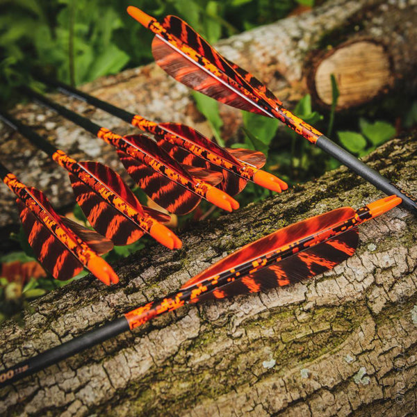 3" Parabolic Cut Primary Feathers