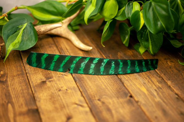 Premium Full Length Primary Feathers
