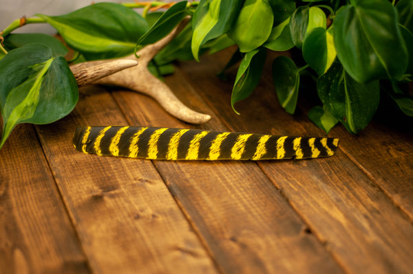 Premium Full Length Primary Feathers