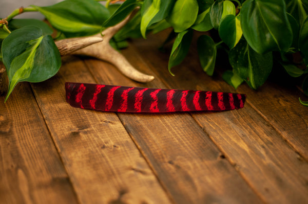 Premium Full Length Primary Feathers