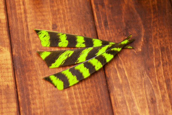 5.5" Shield Cut Primary Feathers