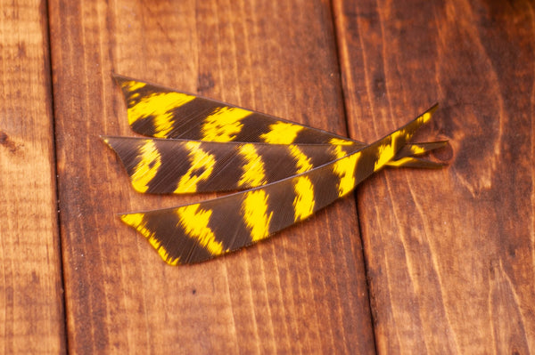 5.5" Shield Cut Primary Feathers