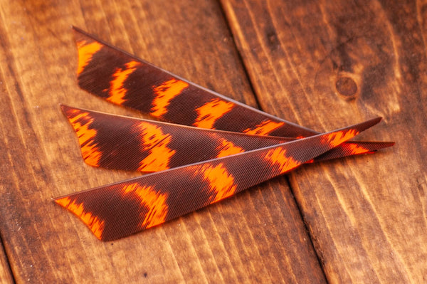 5" Shield Cut Primary Feathers