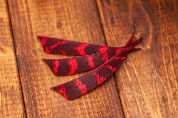 5" Shield Cut Primary Feathers