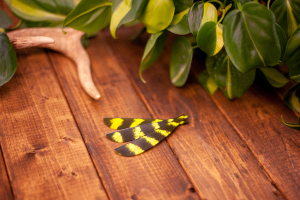5.5" Parabolic Cut Primary Feathers
