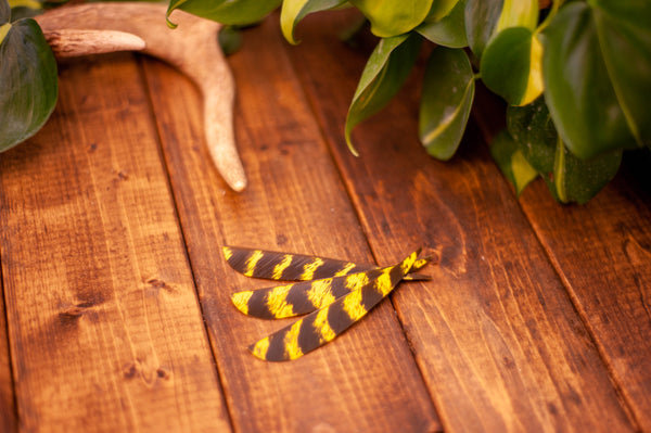 5.5" Parabolic Cut Primary Feathers