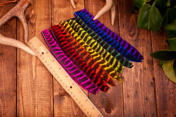 Dyed Wild Turkey Craft Feathers