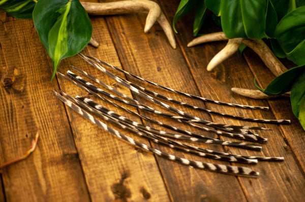 Wild Turkey Craft Feathers