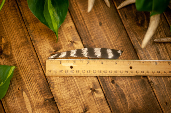 5" Traditional Cut Primary Feathers