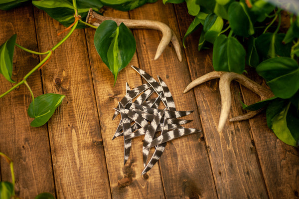 Banana Cut Wild Turkey Secondary Feathers