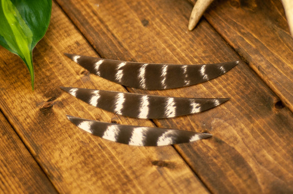 5.5" Banana Cut Primary Feathers
