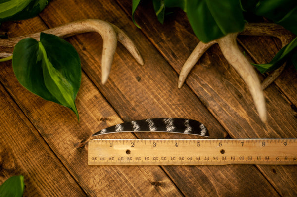 Shield Cut Wild Turkey Secondary Feathers