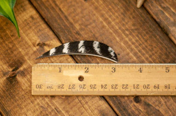 3" Parabolic Cut Primary Feathers
