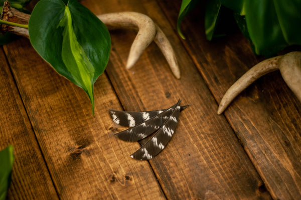 5" Parabolic Cut Primary Feathers