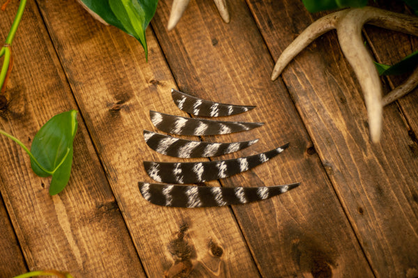 Parabolic Cut Wild Turkey Secondary Feathers