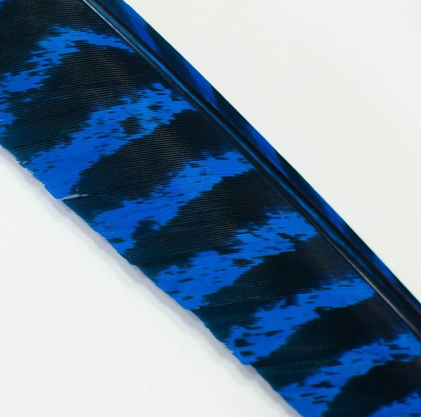 Professional Feather Dye