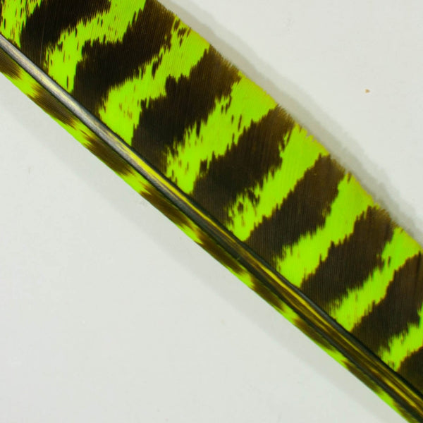 Professional Feather Dye
