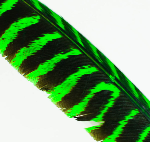 Professional Feather Dye