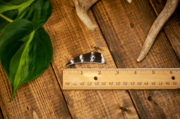 Shield Cut Wild Turkey Secondary Feathers