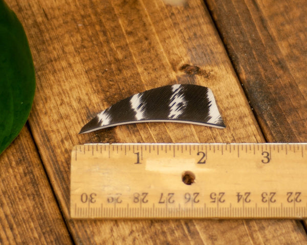 2.25" Shield Cut Primary Feathers