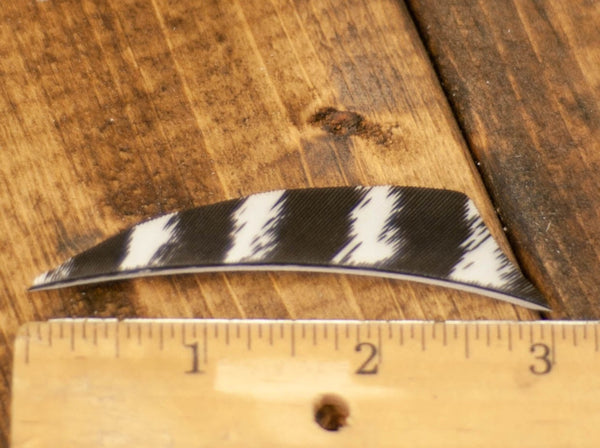 3" Shield Cut Primary Feathers