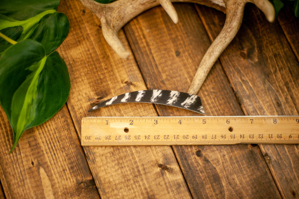 5" Shield Cut Primary Feathers