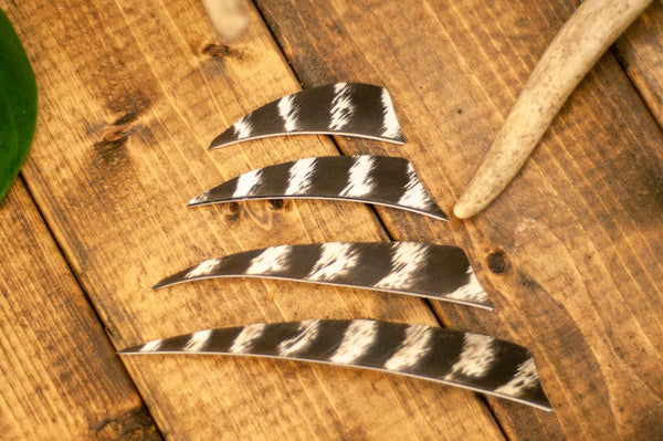 5" Shield Cut Primary Feathers