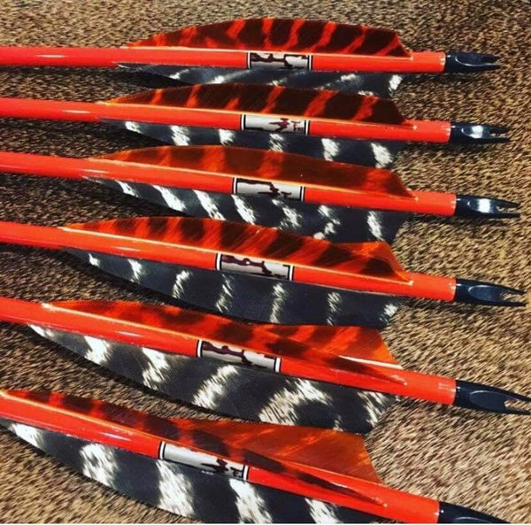 5" Shield Cut Primary Feathers