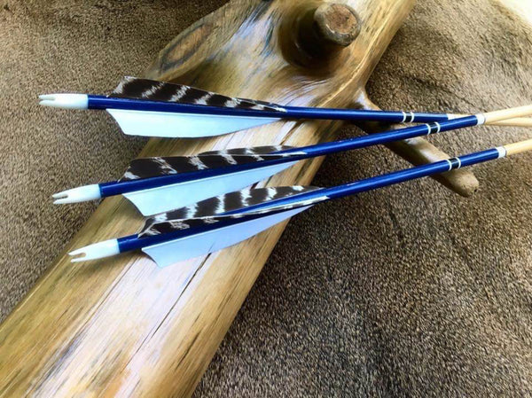 5" Shield Cut Primary Feathers