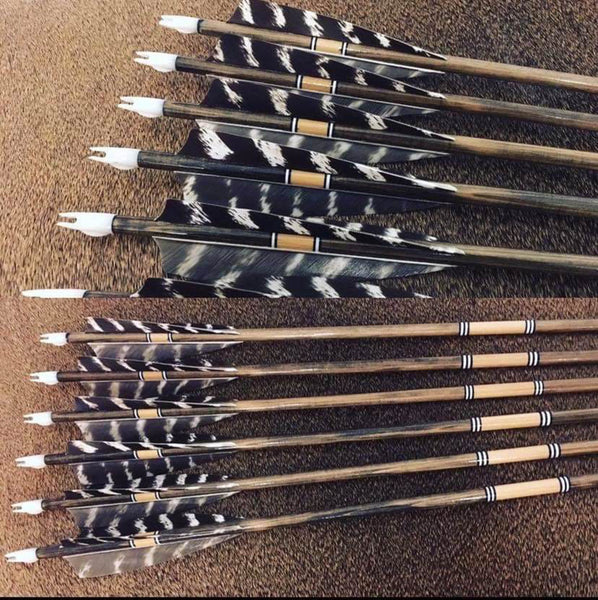 5" Shield Cut Primary Feathers
