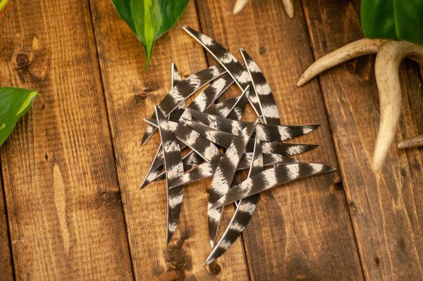 5.5 inch wild turkey banana cut arrow fletching