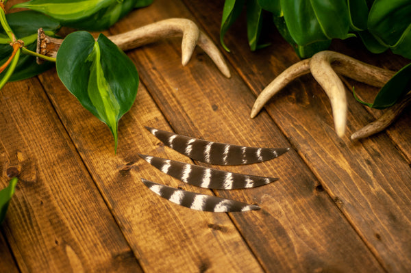 5 inch wild turkey banana cut arrow fletching