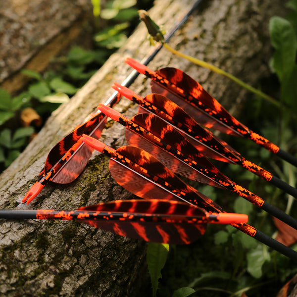 5" Parabolic Cut Primary Feathers