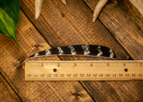 5.5" Parabolic Cut Primary Feathers