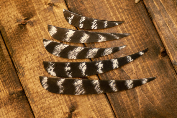 3" Parabolic Cut Primary Feathers