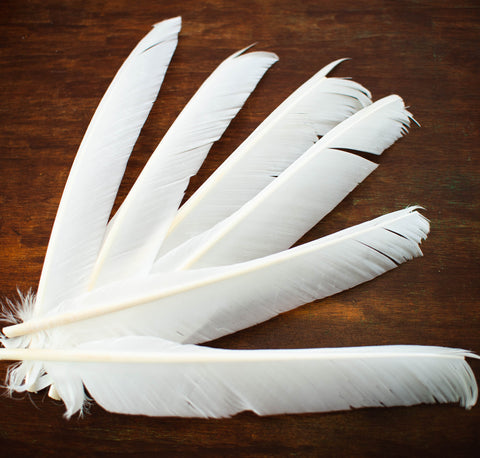Wholesale Turkey Wing Feathers, 1/4 Lb White Turkey Rounds Secondary Wing  Quill Wholesale Feathers bulk Craft Supply : 2152 