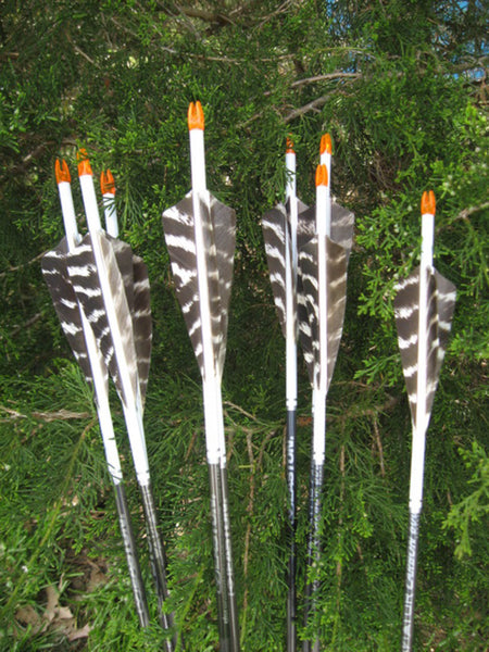 3" Shield Cut Primary Feathers